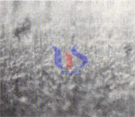 superficie procesamiento escariadores de carburo cementado ordinaria